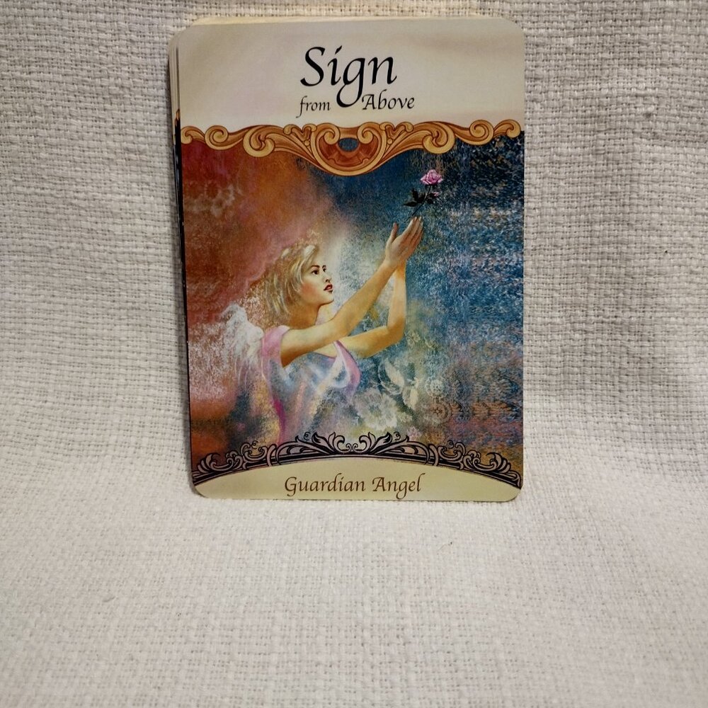 Saints & Angels - Picture 8 of 13